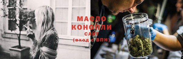 гашик Новозыбков