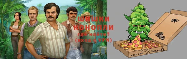 гашик Новозыбков