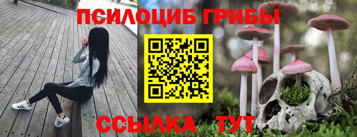 Псилоцибиновые грибы MAGIC MUSHROOMS Симферополь